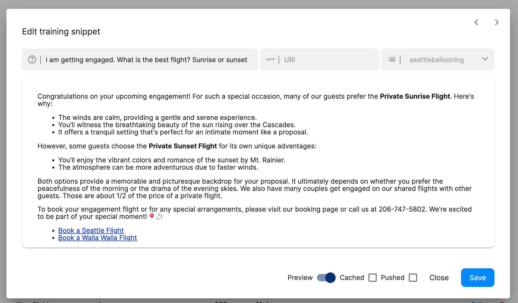 AI chatbot suggesting balloon flight for engagement